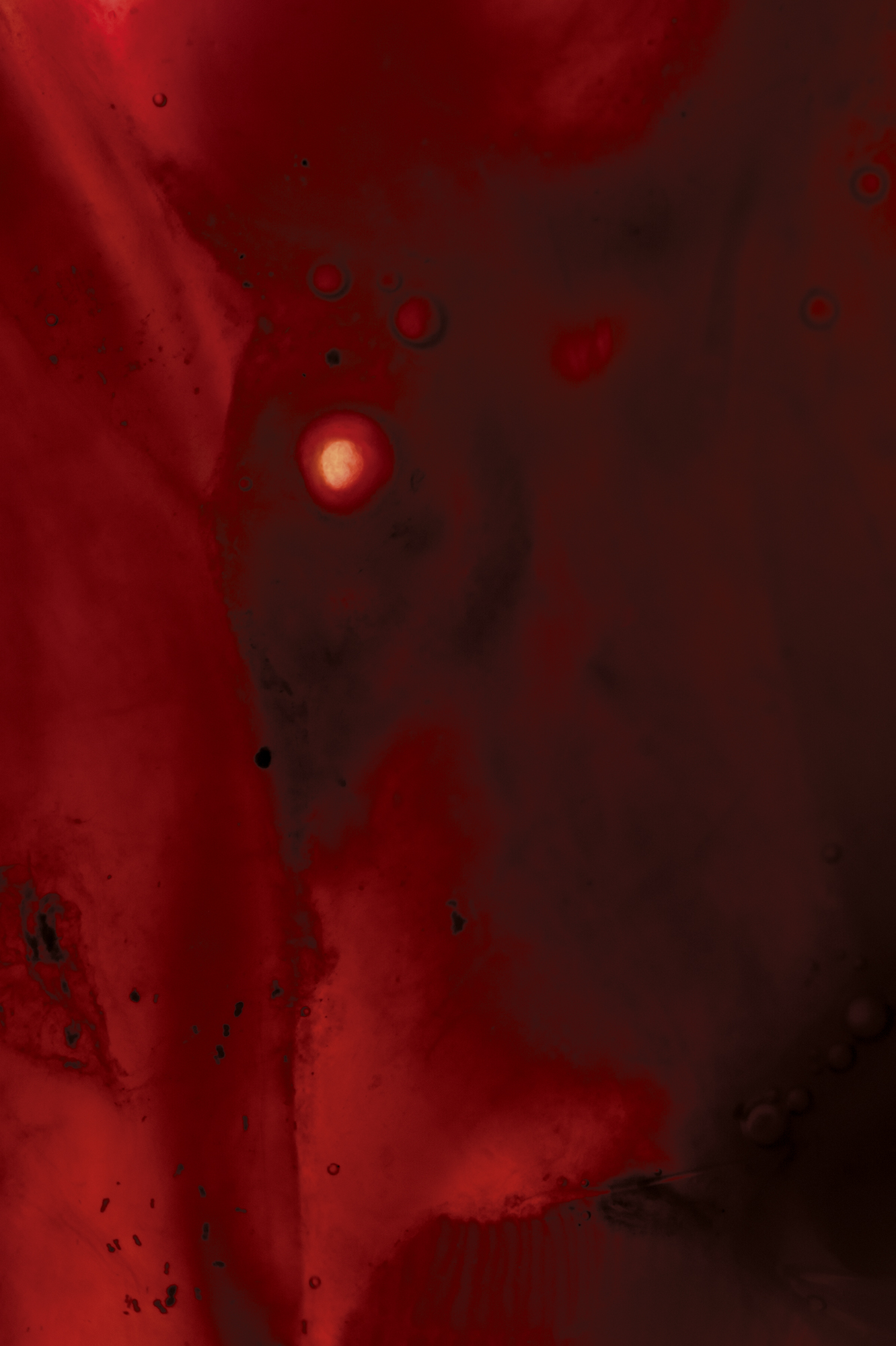 SGI-20-02-4805