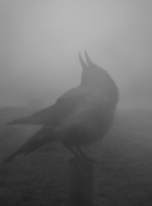 10180249